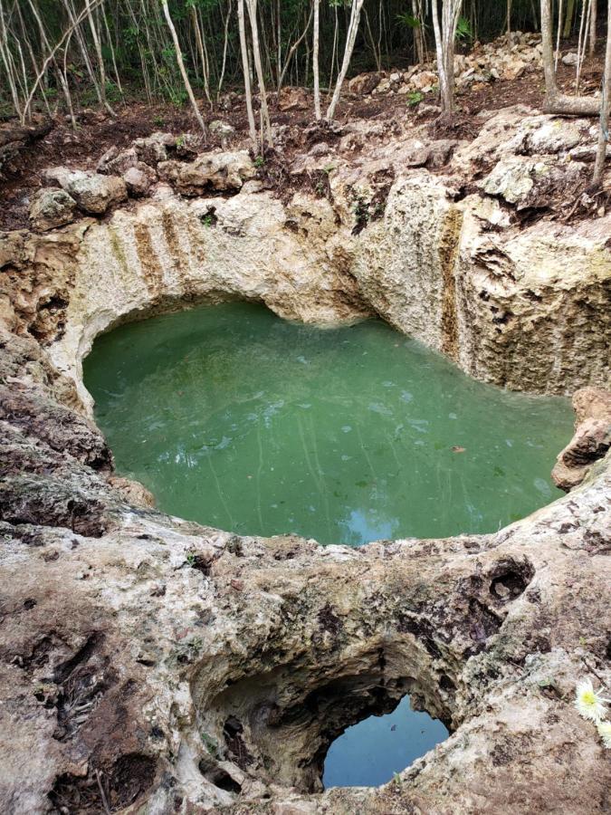 Aldea Maya-ha Con Cenotes Puerto Morelos