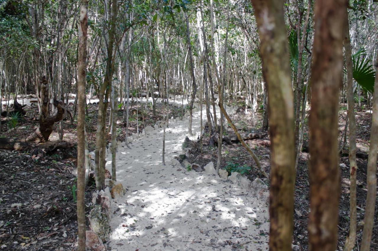 Campsite Aldea Maya-ha Con Cenotes