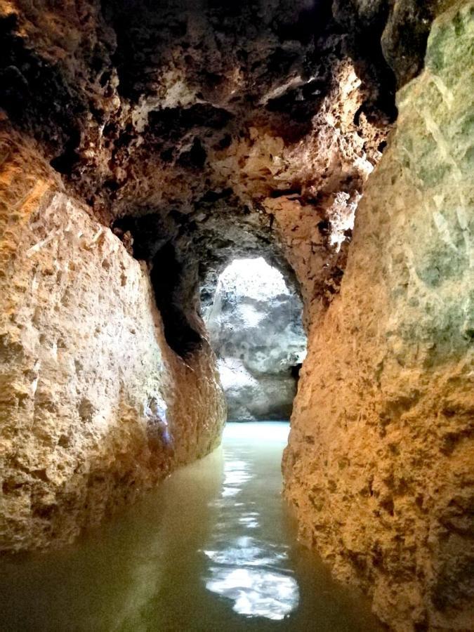 Campsite Aldea Maya-ha Con Cenotes 3*