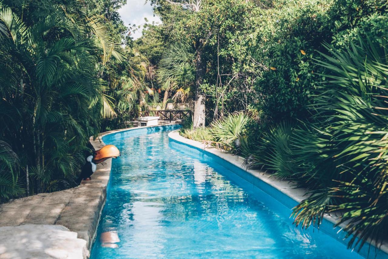 Resort Iberostar Selection Paraiso Maya 5*