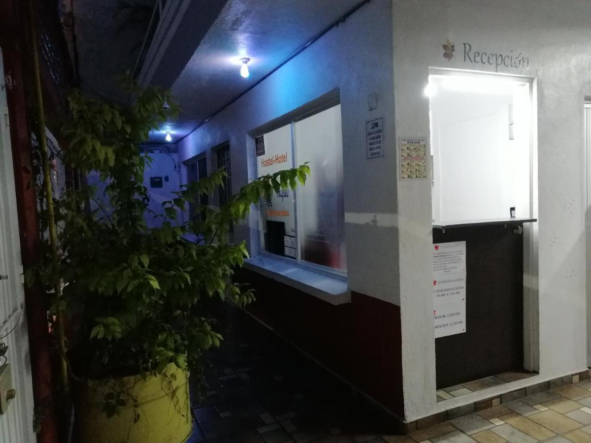 Hostel Maple Queretaro