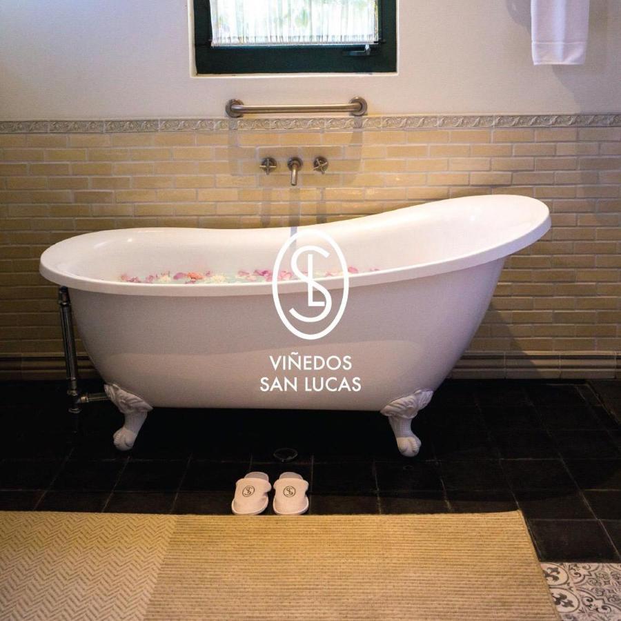 Hotel Vinedos San Lucas 3*