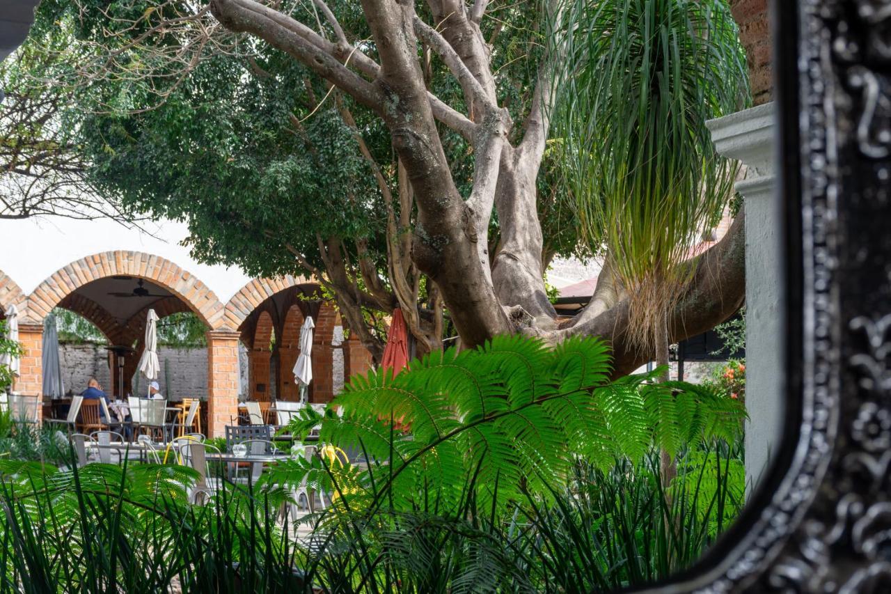 Hacienda San Cristobal Leon