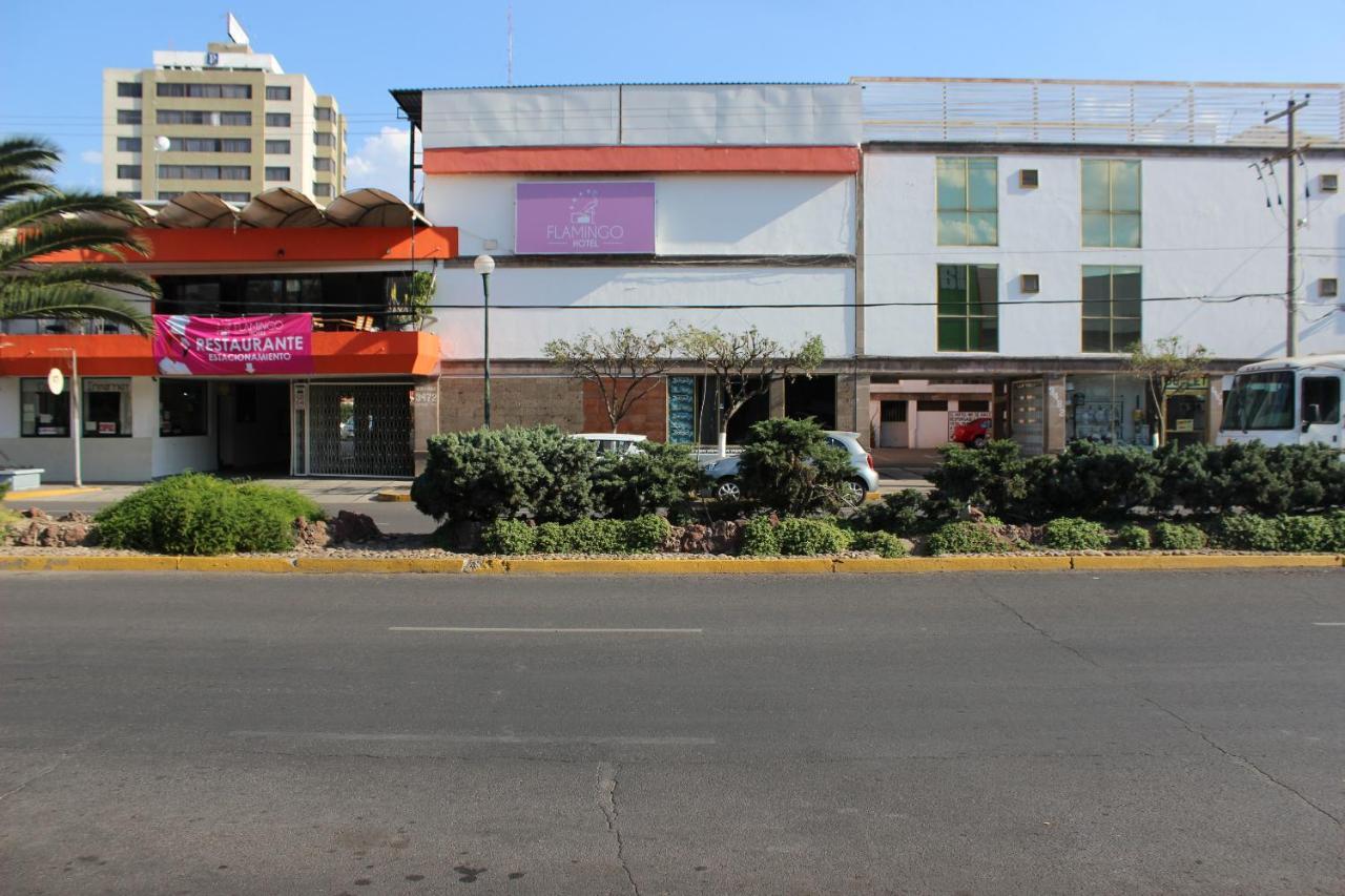 Flamingo Hotel