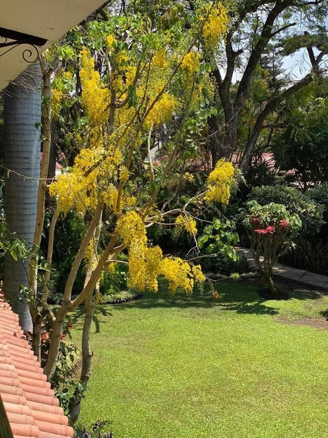 Quinta Flores Cuernavaca
