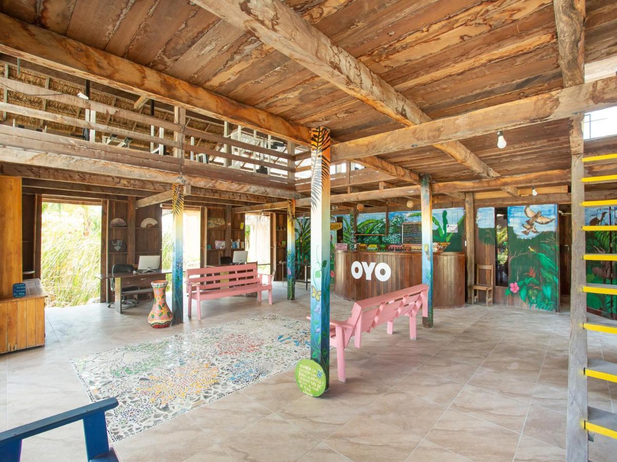 Oyo Blue Kay Hotel Mahahual