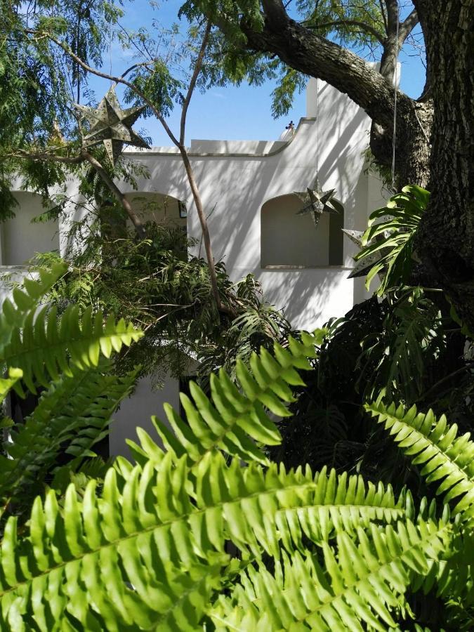 Casa Lani Luxury Bed & Breakfast San Miguel de Allende