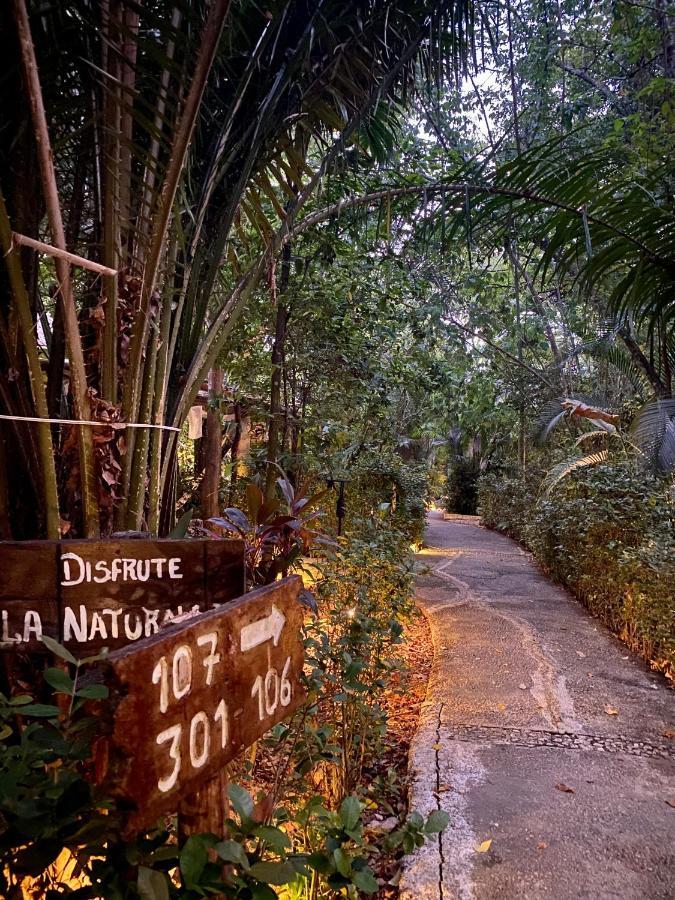 Piedra De Agua Hotel Palenque