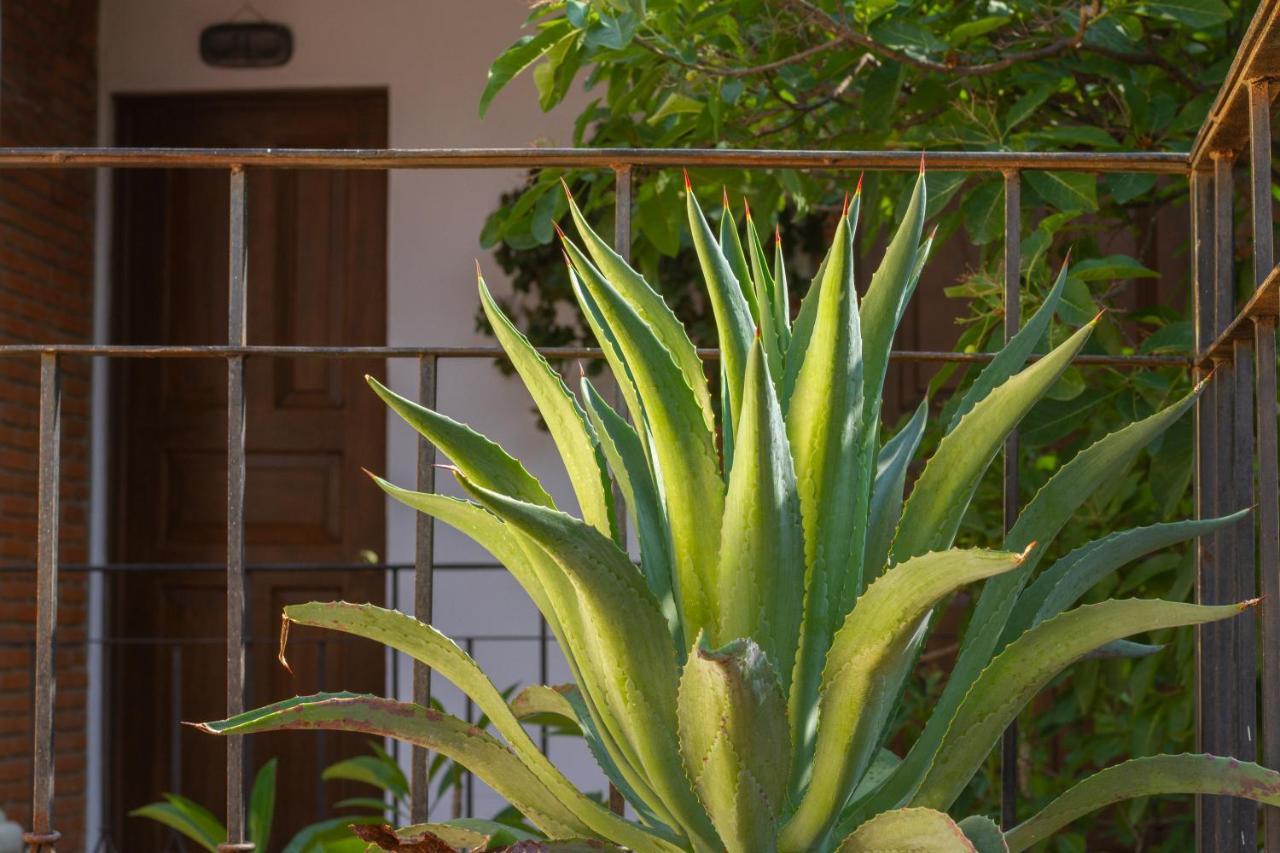 Hotel Nana Vida Oaxaca
