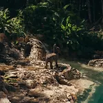Amaite Retreat Tulum