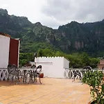 Posada Ali
