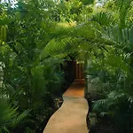 Aldea Coba An Escape Boutique Experience