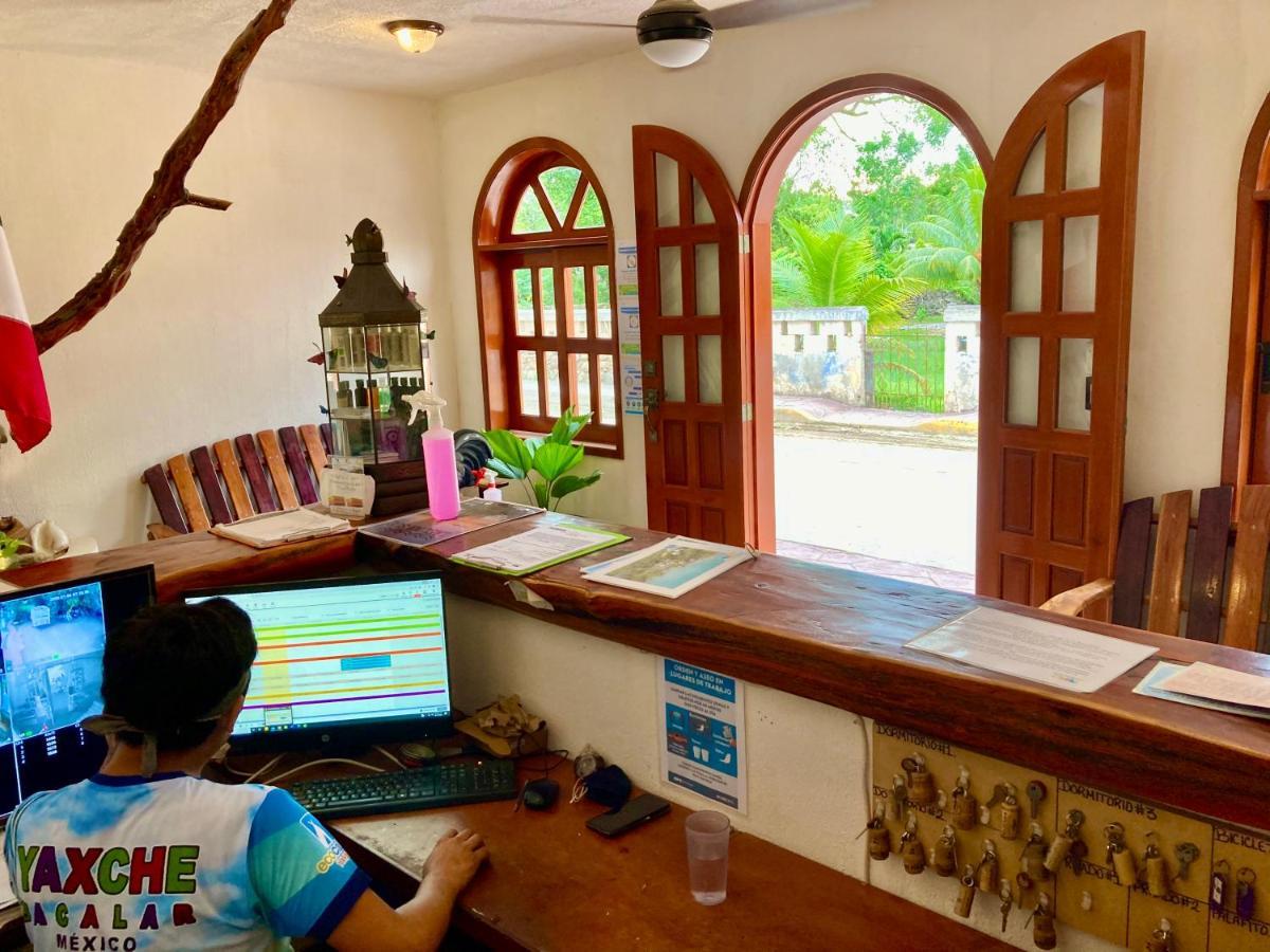 Hostel Yaxche Centro Y Bacalar