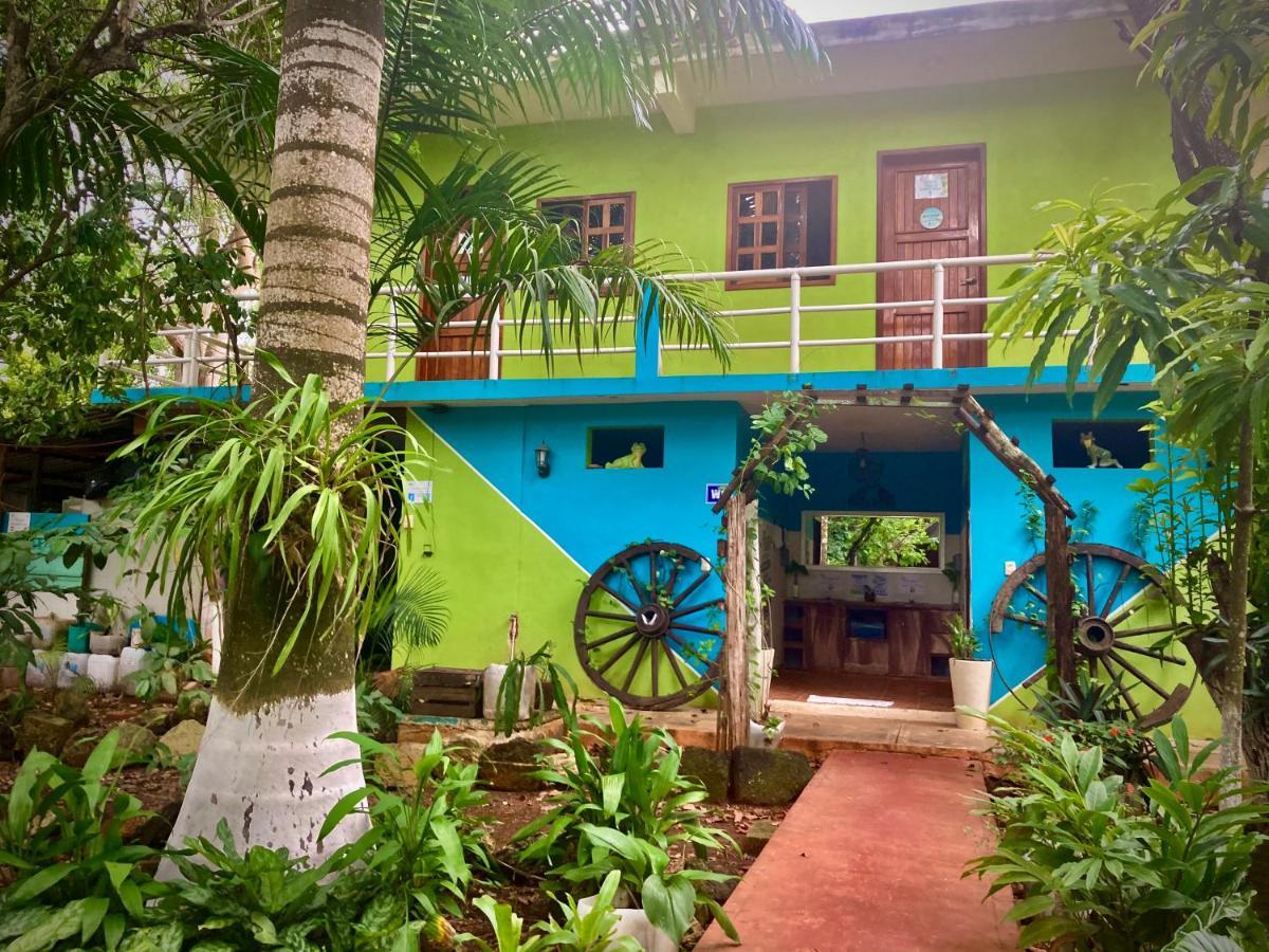 Hostel Yaxche Centro Y *