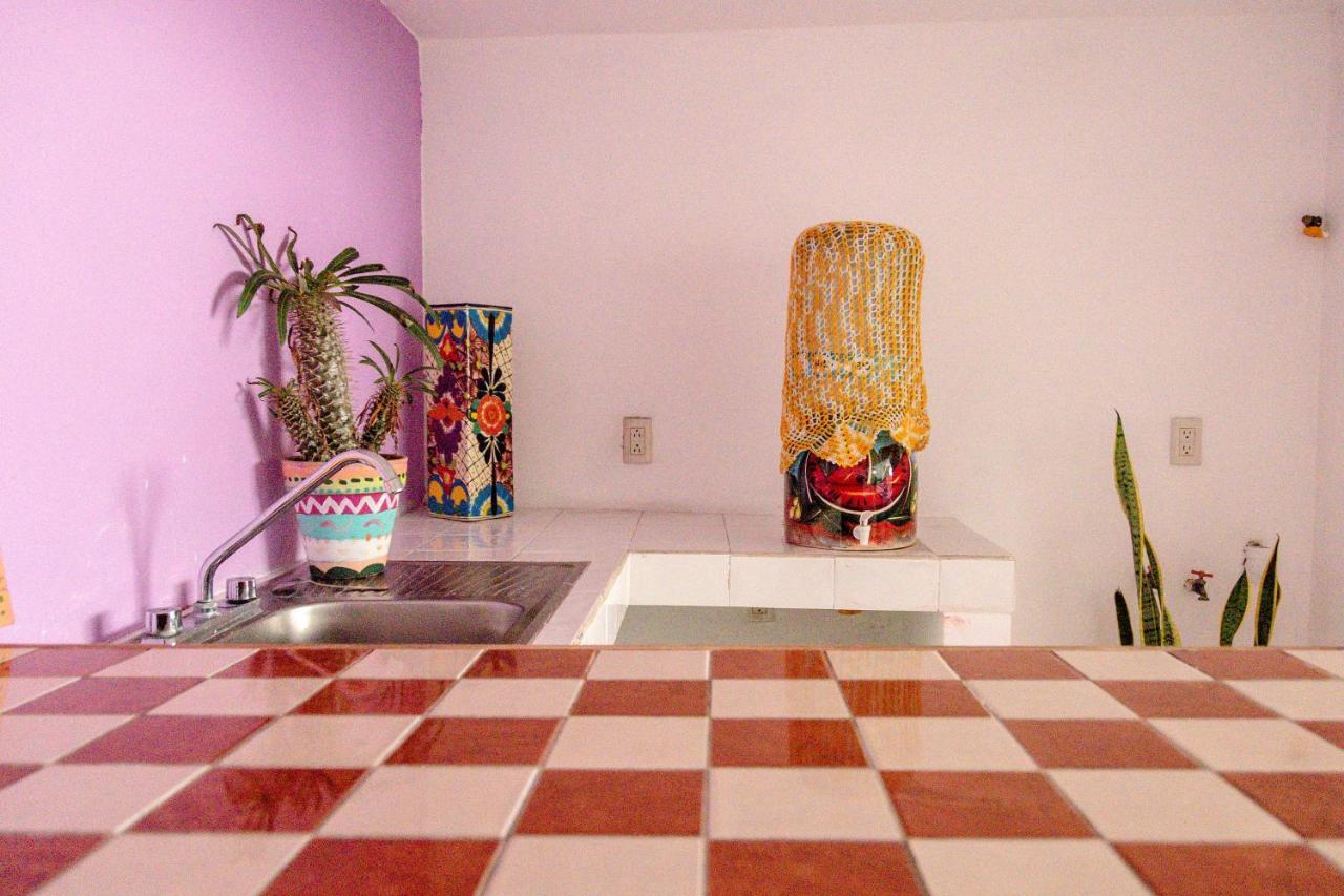 Vallarta (adults Only) Hostel *