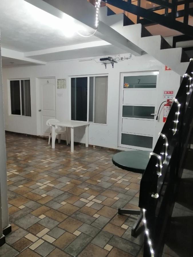Maple Hostel *