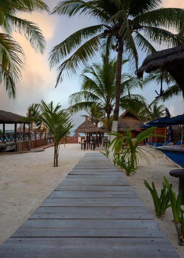 The Diving Downtown Holiday home Puerto Morelos