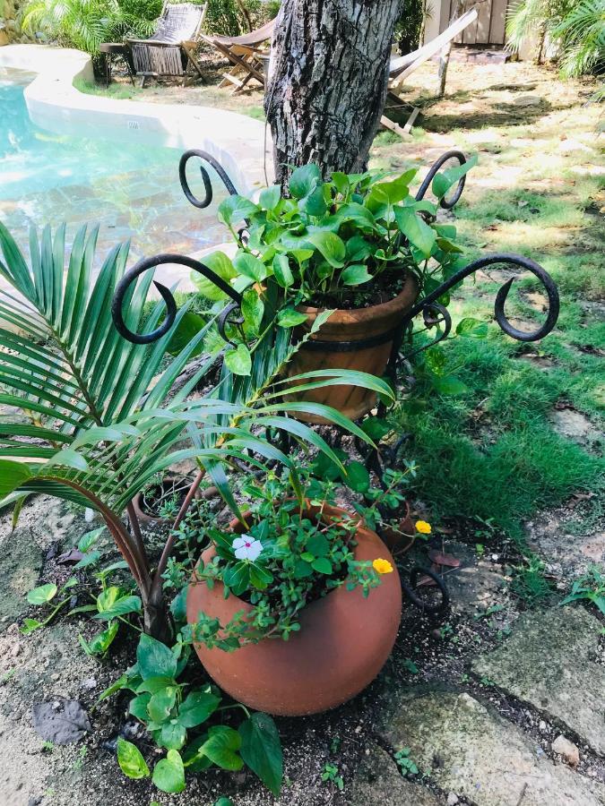 Verdeamar Eco Jungle Retreat Bed & Breakfast