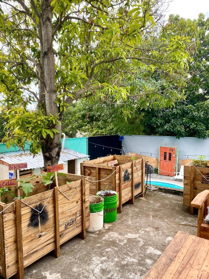 Guest house Garra Charrua Merida