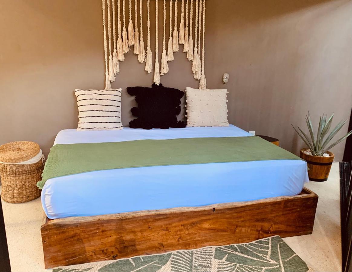 Apartment Vida Jungle 1 With Special Fee To Access Bardo