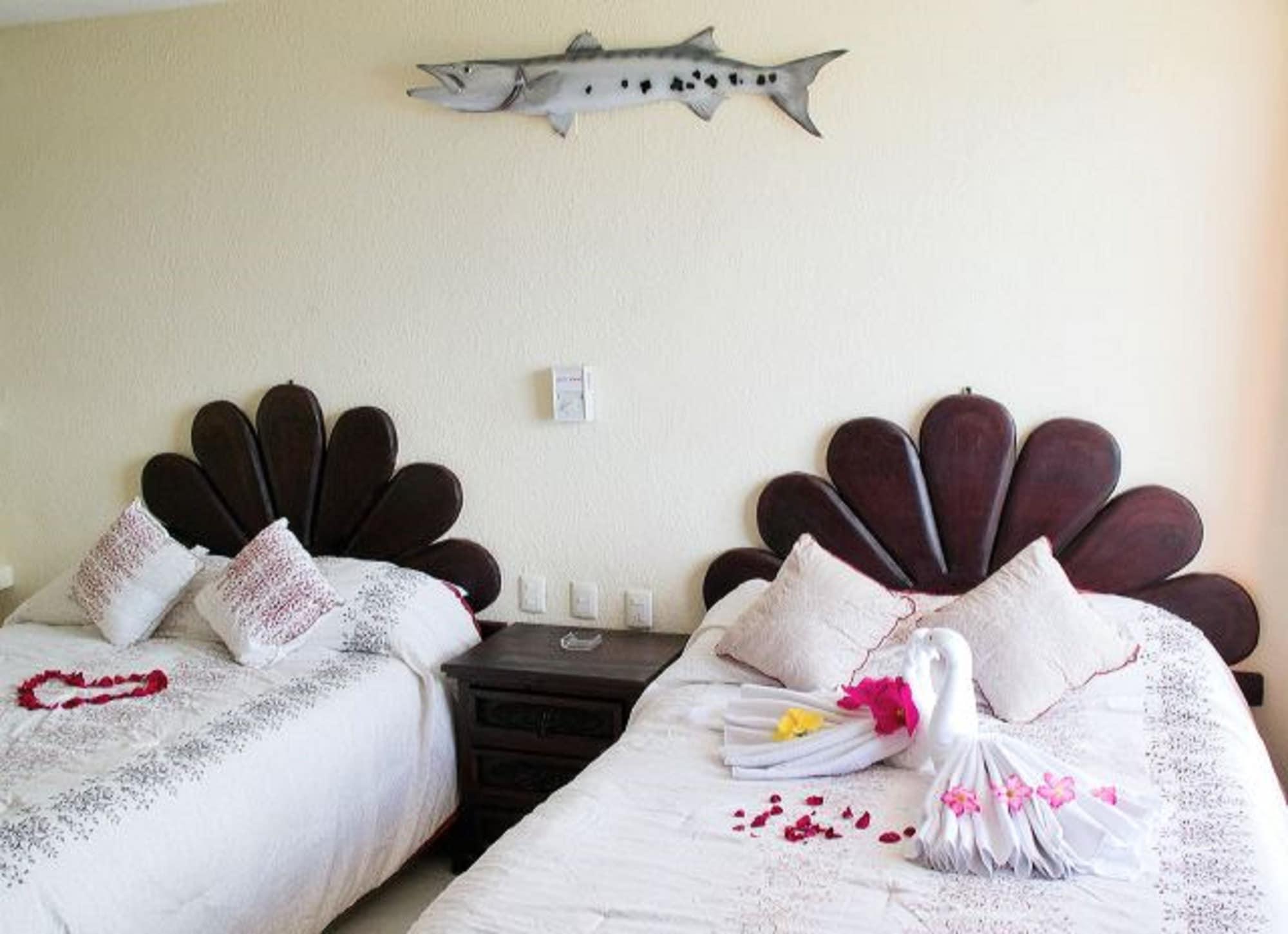 Barracuda Cozumel