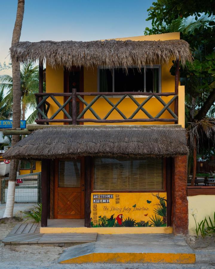 The Diving Downtown * Puerto Morelos