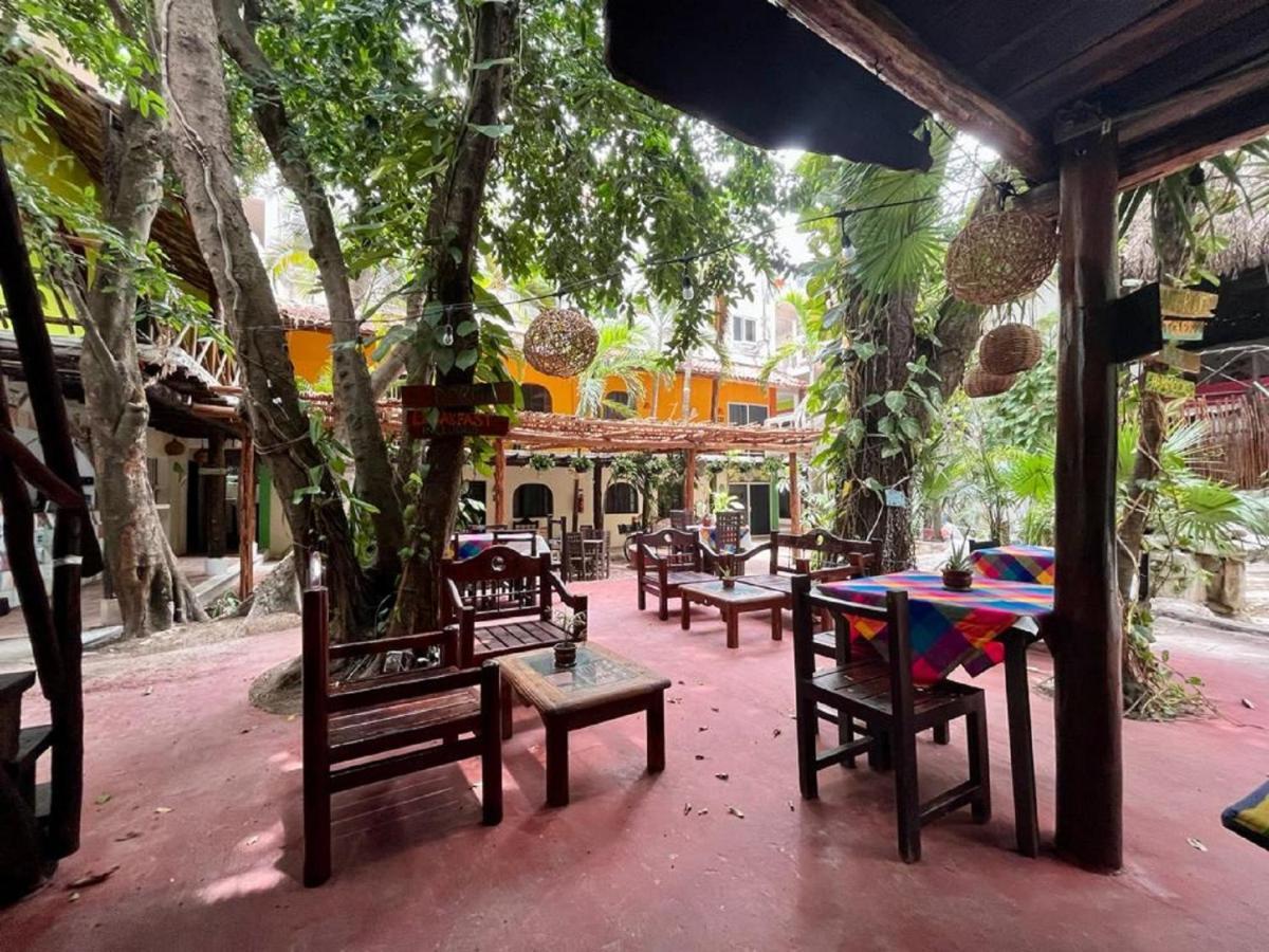 Hostal Mx 5Th Avenue
