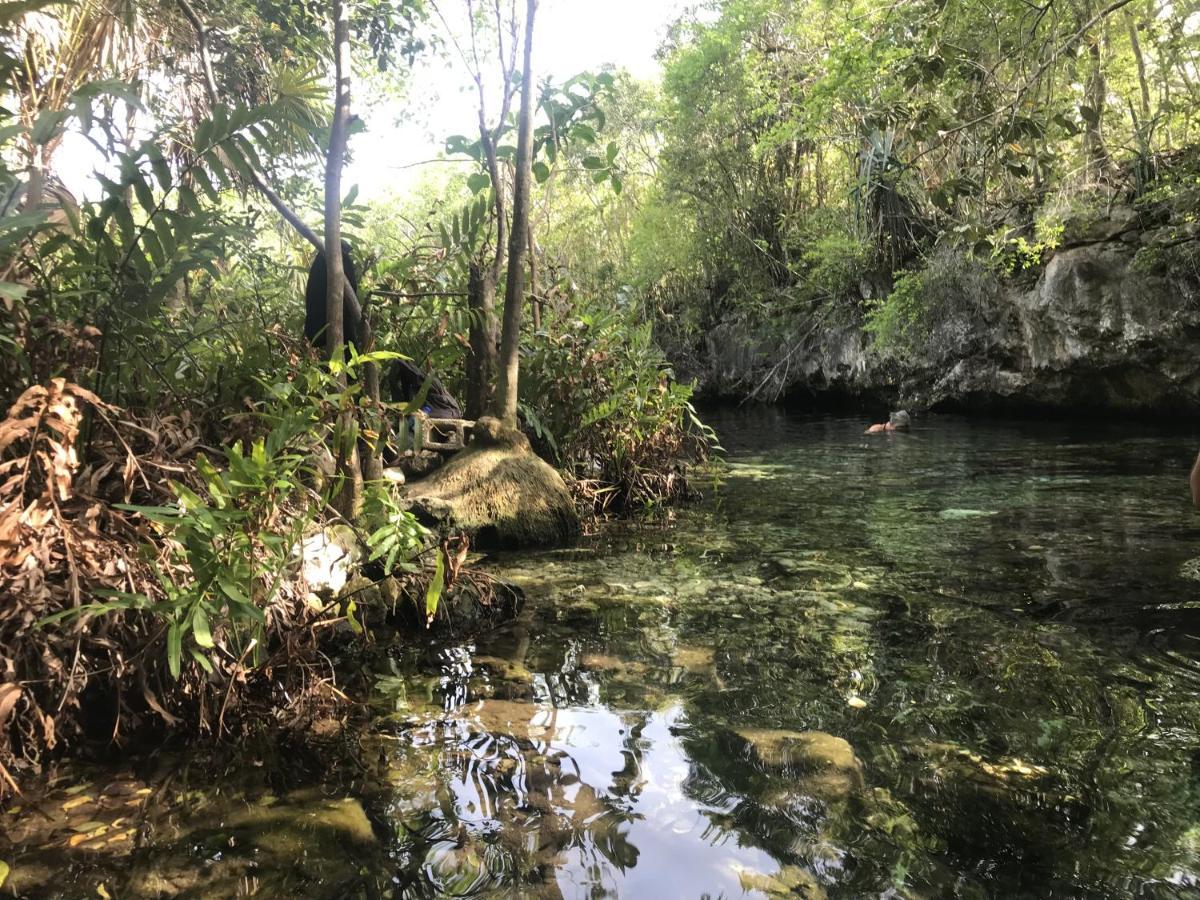 Bed & Breakfast Verdeamar Eco Jungle Retreat 3*