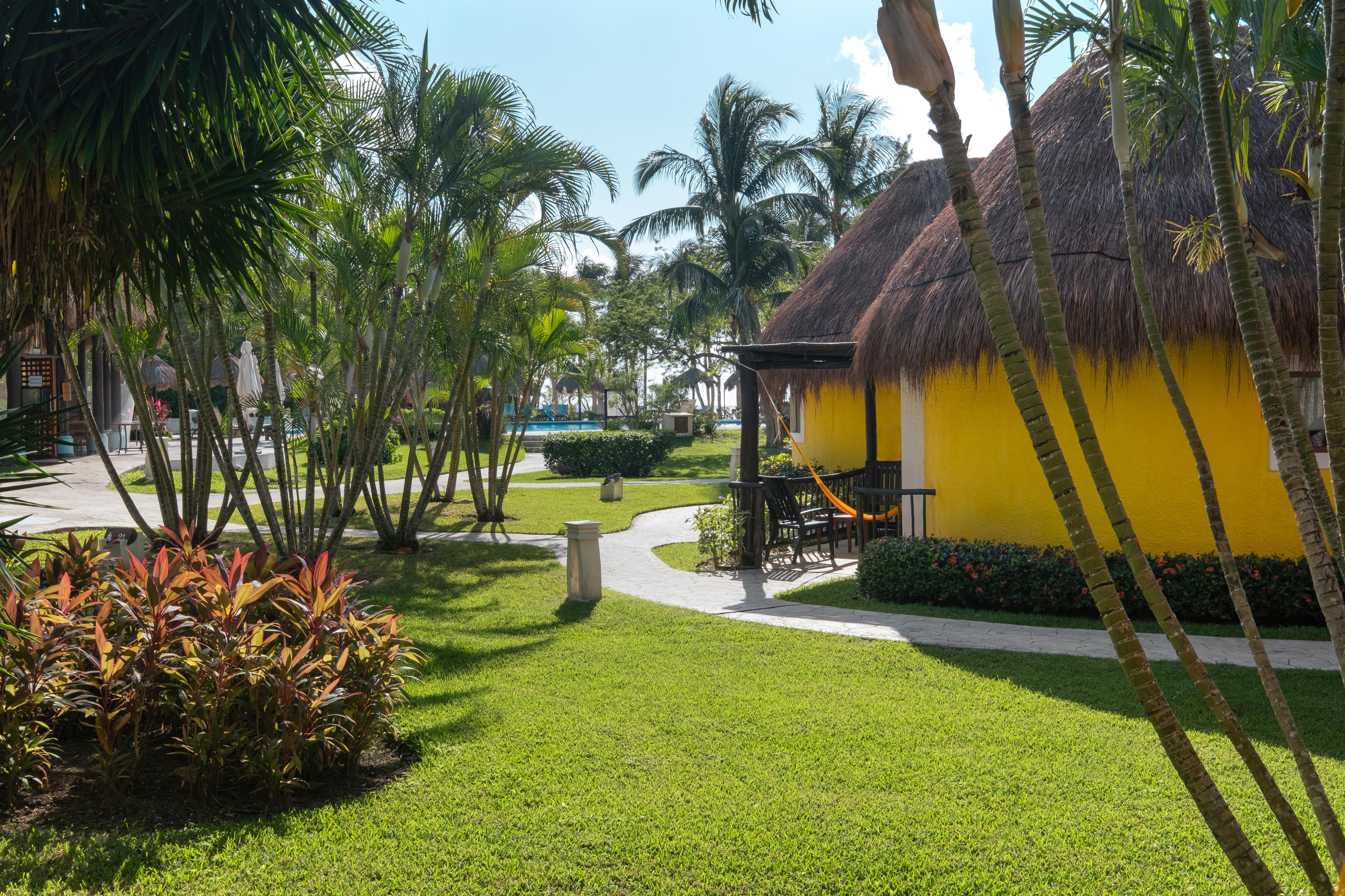 Iberostar Waves