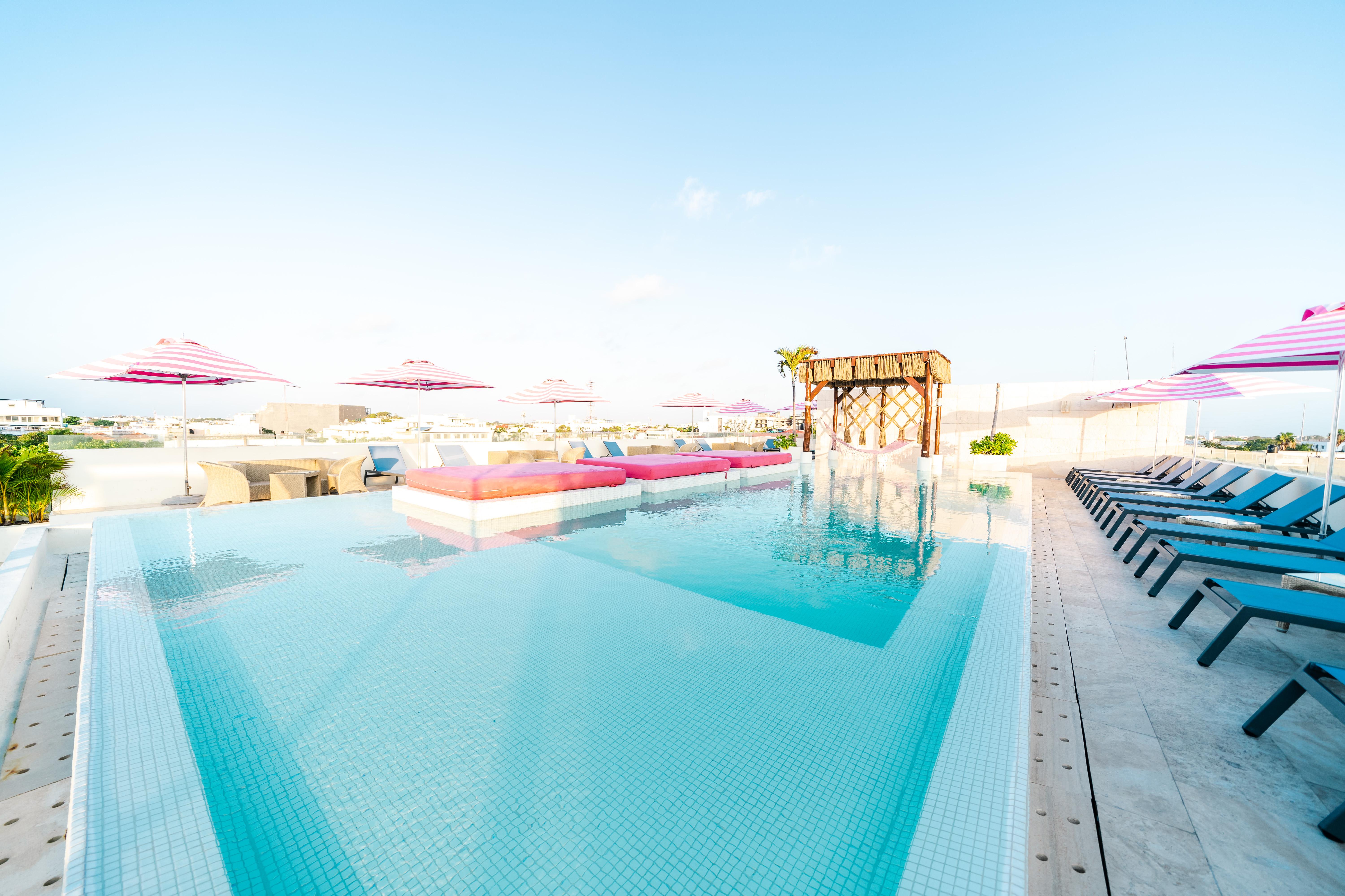 The Palm (adults Only) Hotel