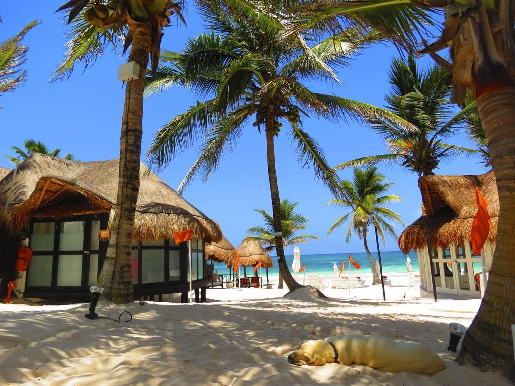 Hotel Shambala Petit