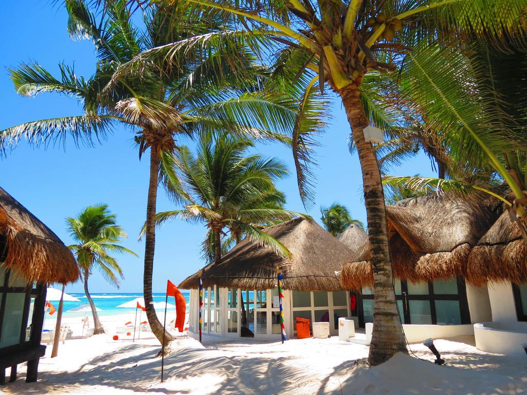 Shambala Petit Tulum
