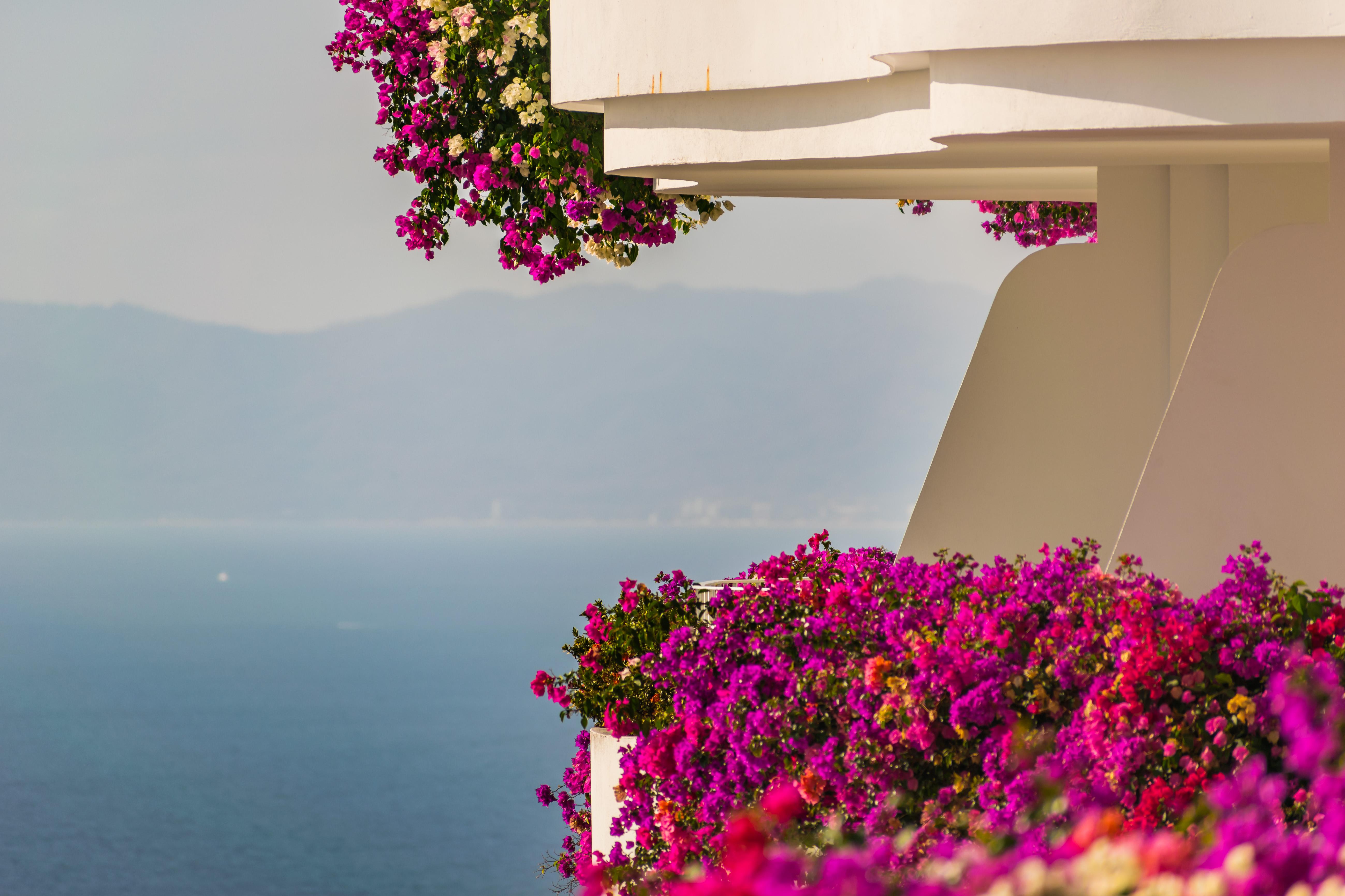 Grand Miramar Luxury & Residences (adults Only) 5* Puerto Vallarta