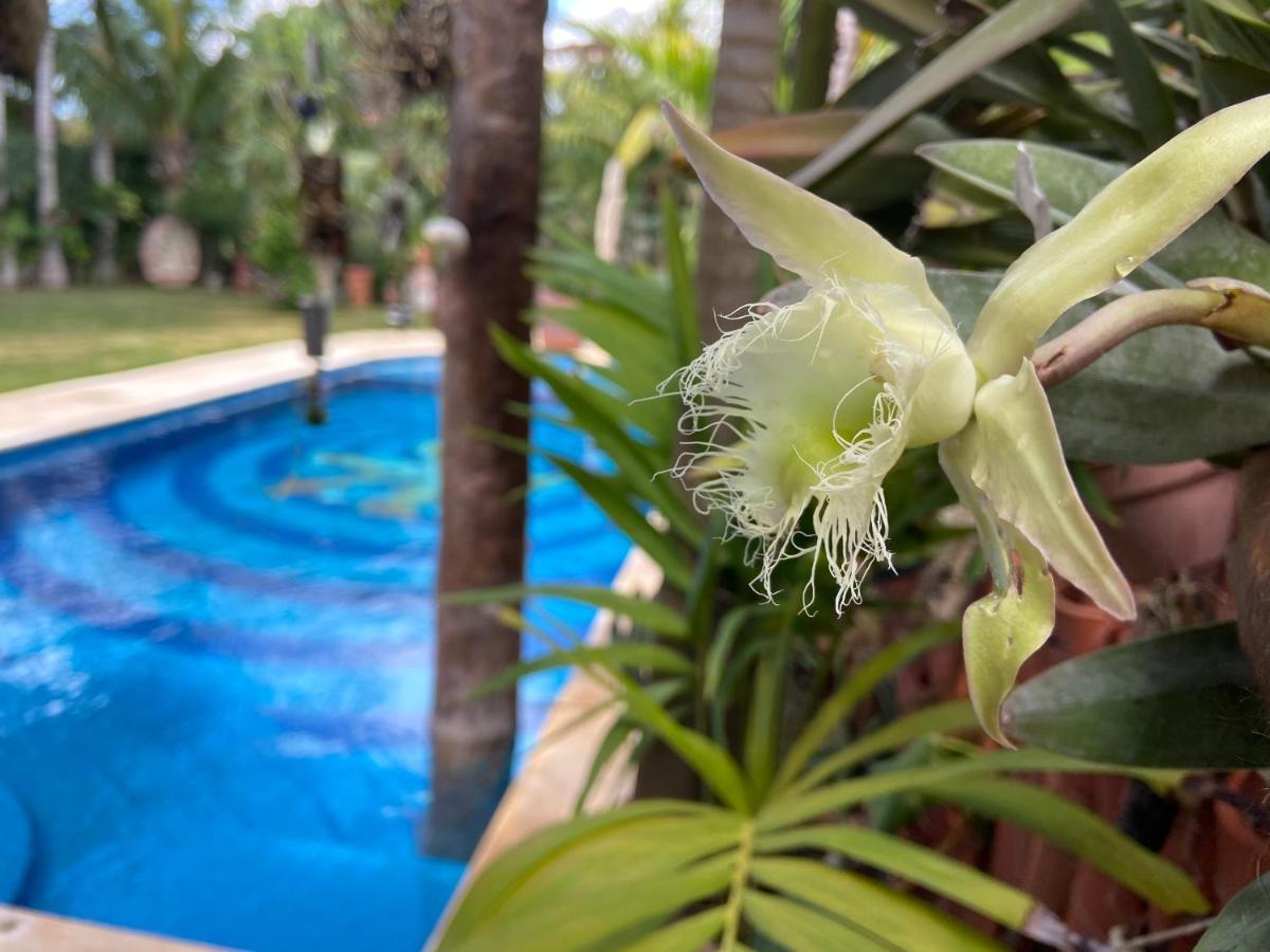 Villa Casa Jaguar