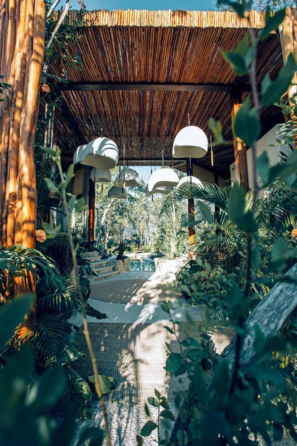 Muare (adults Only) 5*