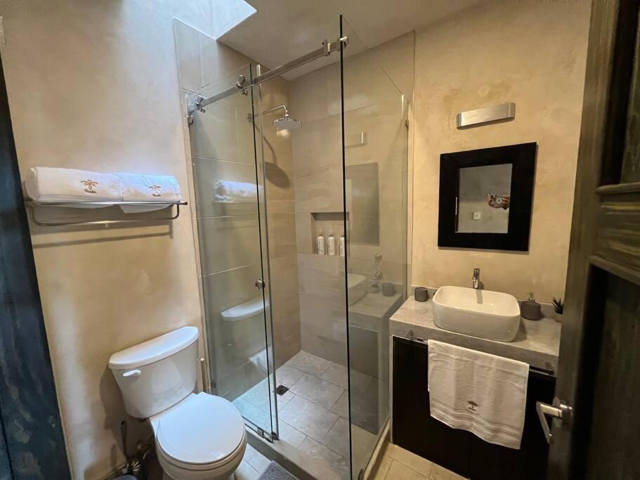 Apartment Increible Loft Completo En Val'quirico *