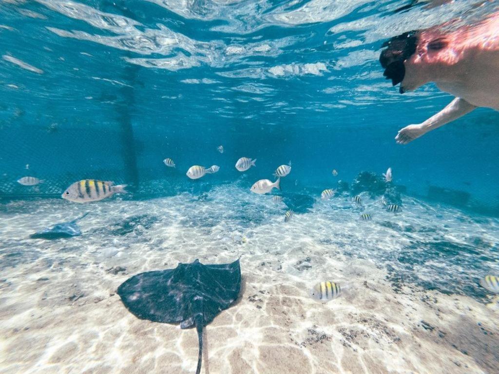 Hostel Hostal Mx 5Th Avenue Playa del Carmen