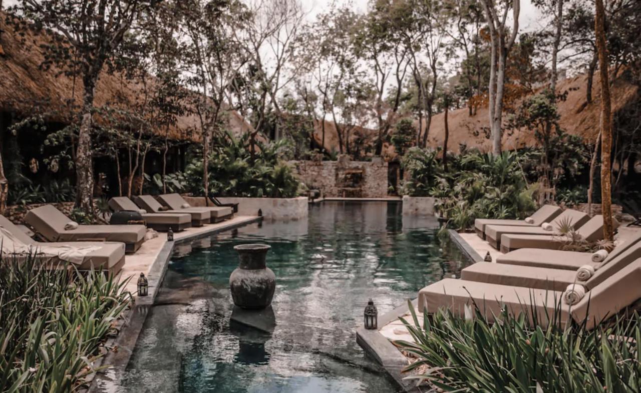 Apartment Vida Jungle 1 With Special Fee To Access Bardo *