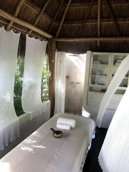 Verdeamar Eco Jungle Retreat Bed & Breakfast