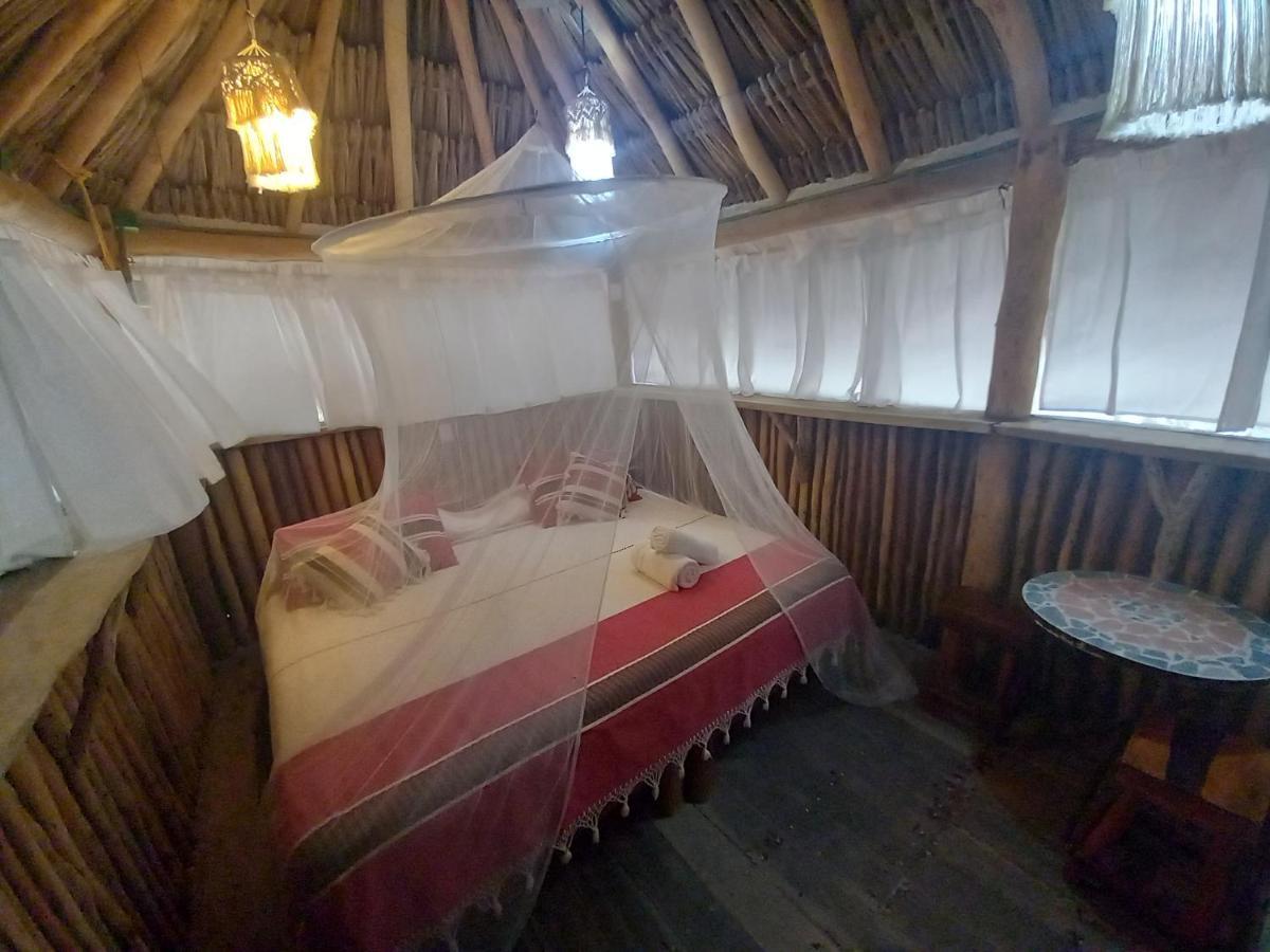 Ida Y Vuelta Hostel Isla Holbox