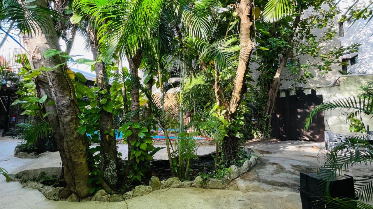 - 5th Avenue 5* Playa del Carmen