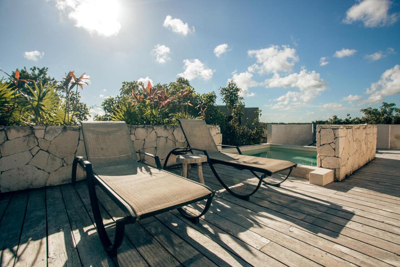 Vida Jungle 1 With Special Fee To Access Bardo Apartment *
