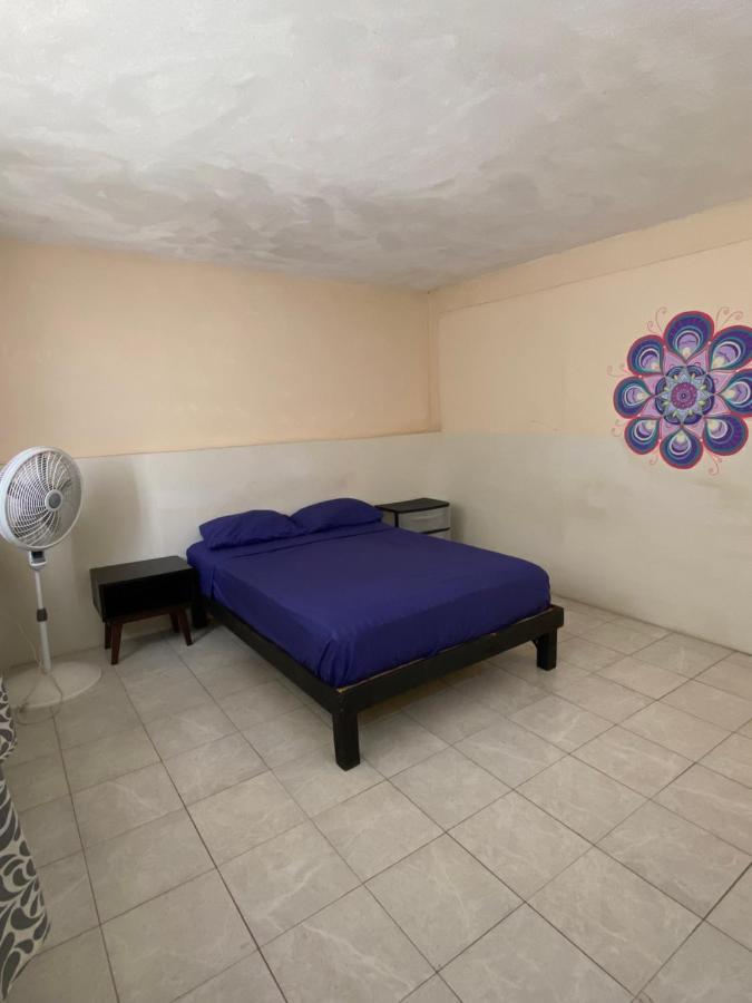 Garra Charrua Guest house Merida