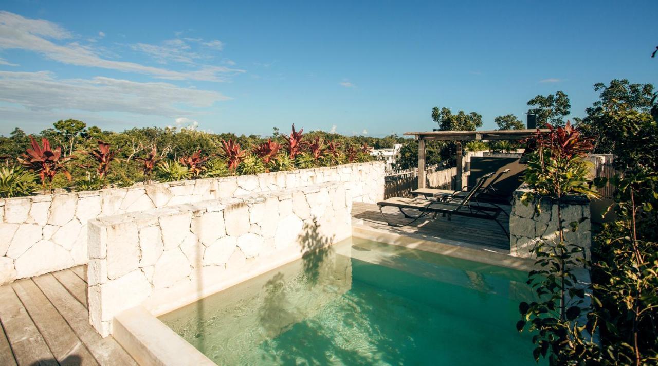 Apartment Vida Jungle 1 With Special Fee To Access Bardo Tulum