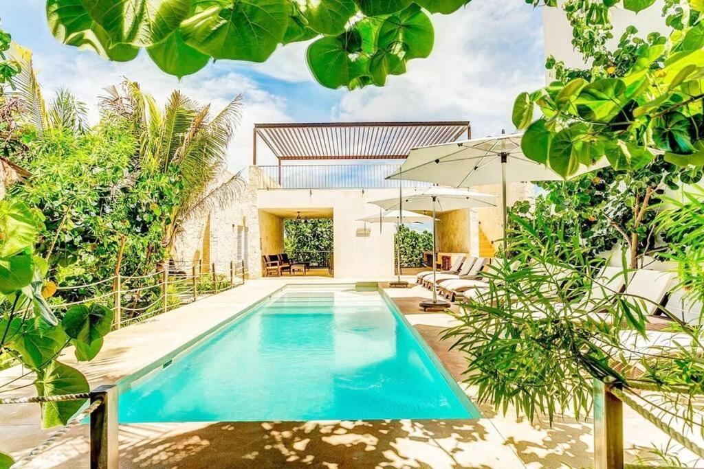 Tortuga Azul Private Terrace Rooftop Pool W Bbq Access 11 Pools Free Club *