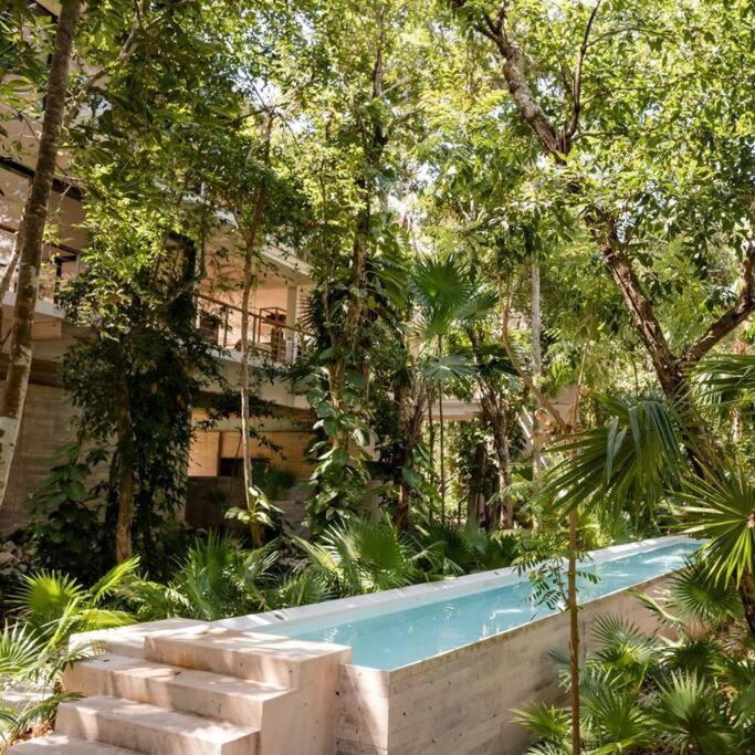 Apartment Tortuga Azul Private Terrace Rooftop Pool W Bbq Access 11 Pools Free Club