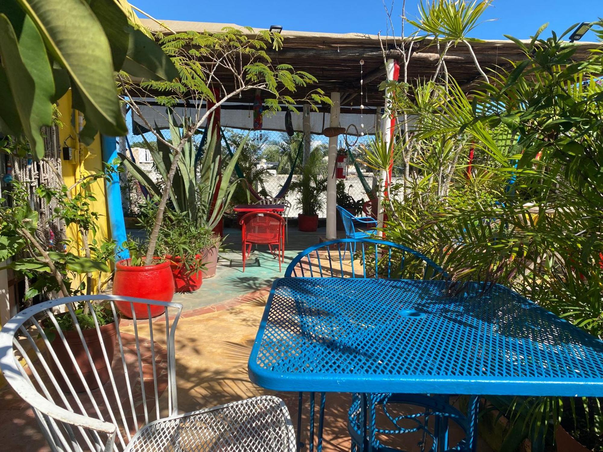 Hotel Maison 3*