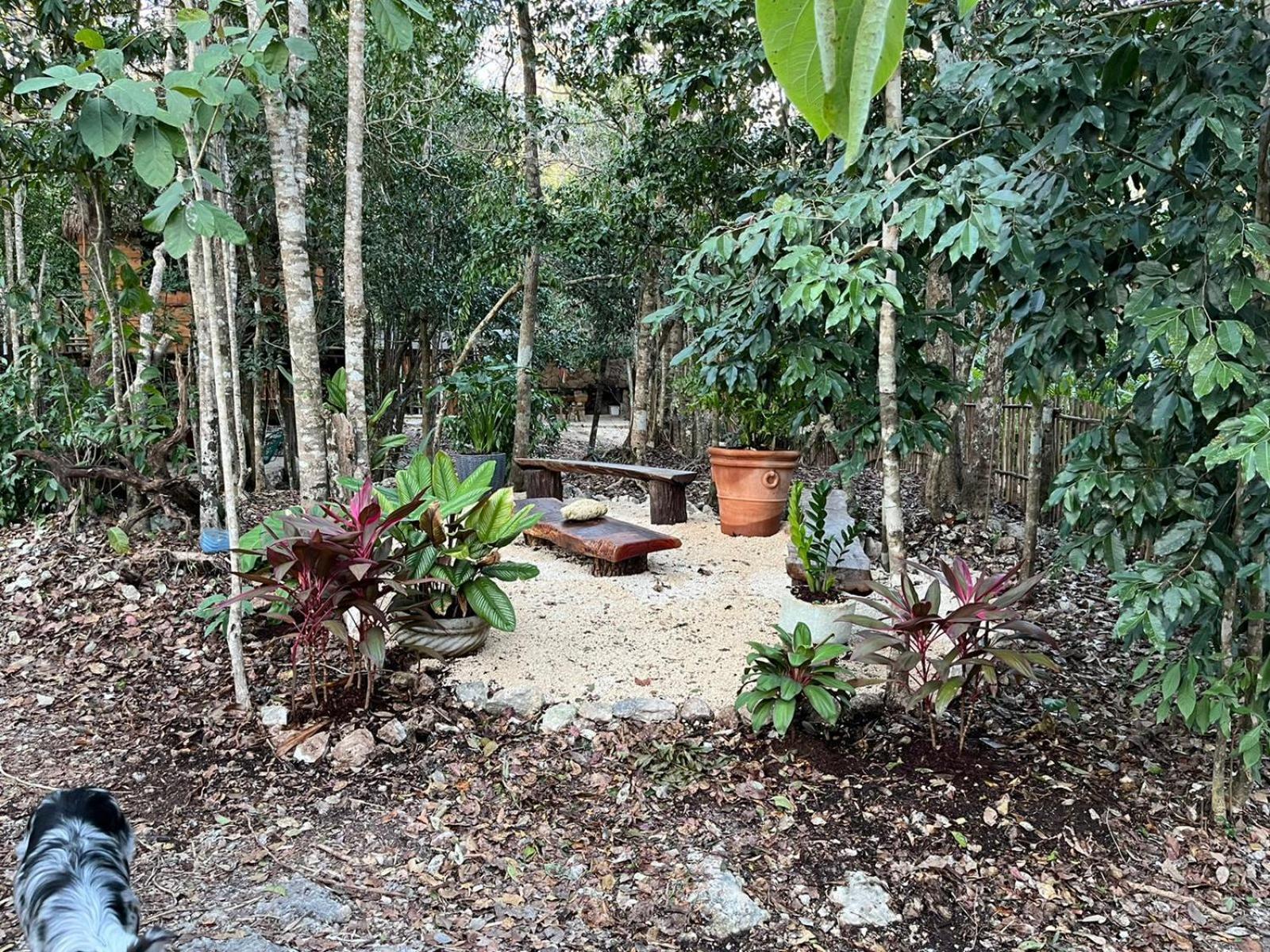 Selvaluna Eco-chic