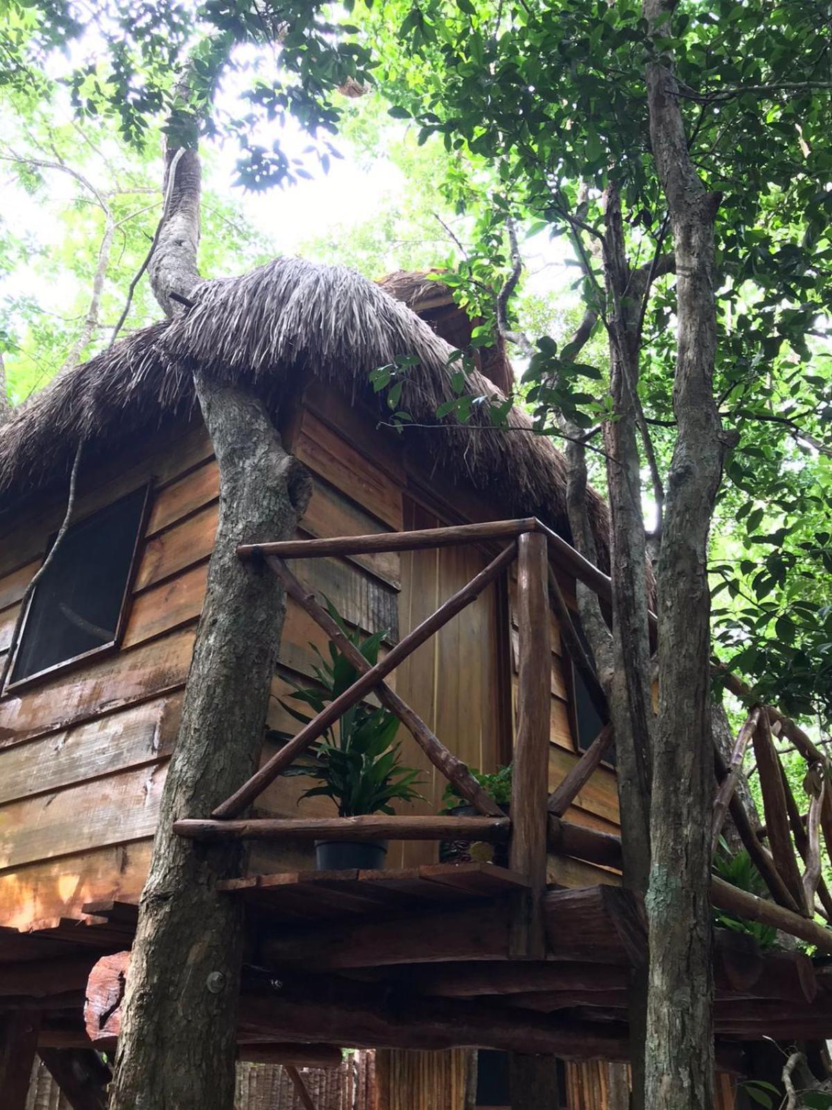 Selvaluna Eco-chic