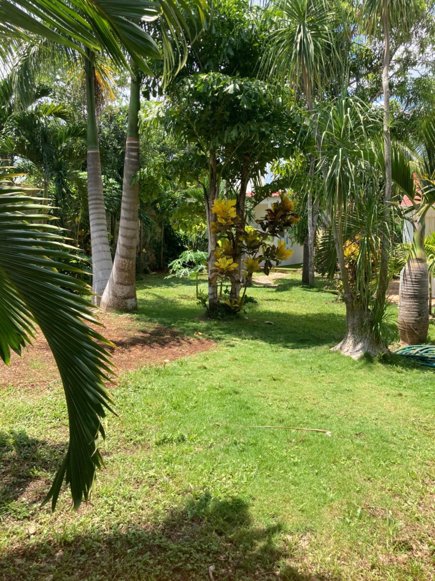 Apartment Paradise